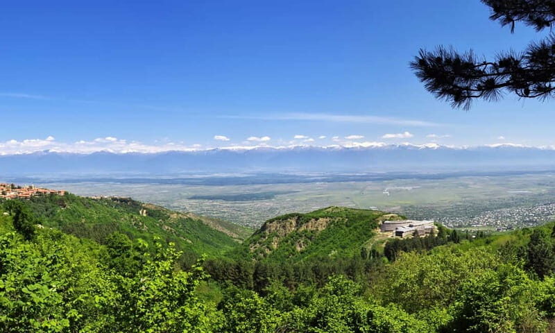 Wine Tour of Kakheti: Sighnaghi, Bodbe Monastery, Telavi - Who Will Love This Tour?  