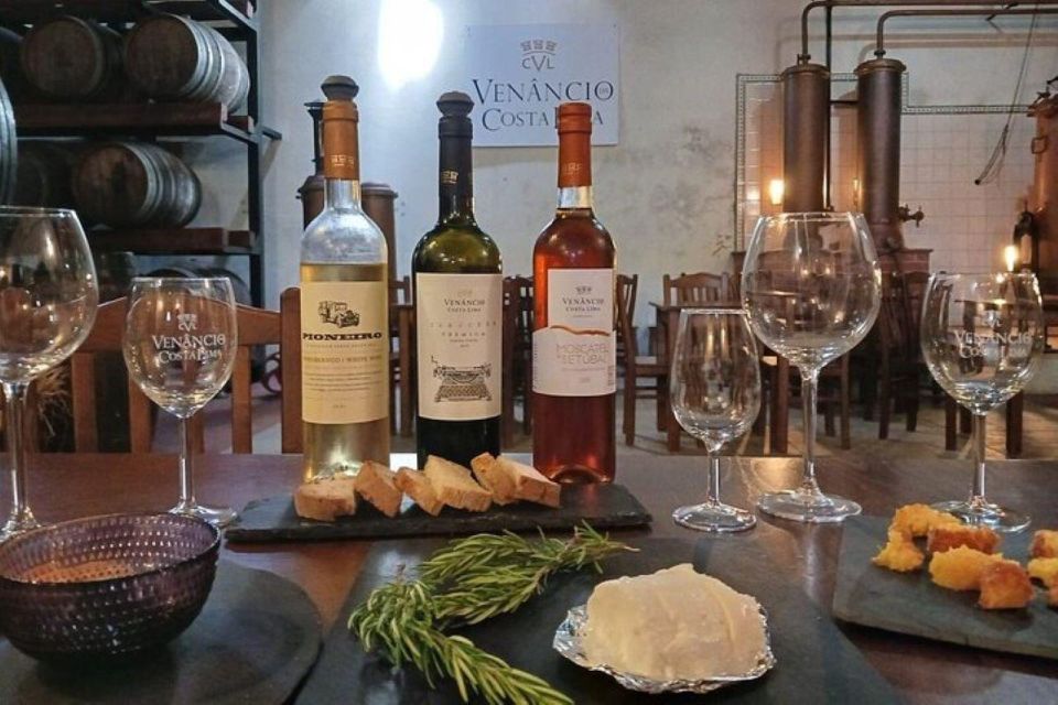 Wine Tour - Order of Santiago - Palmela - Lunch and Tasting at Taverna