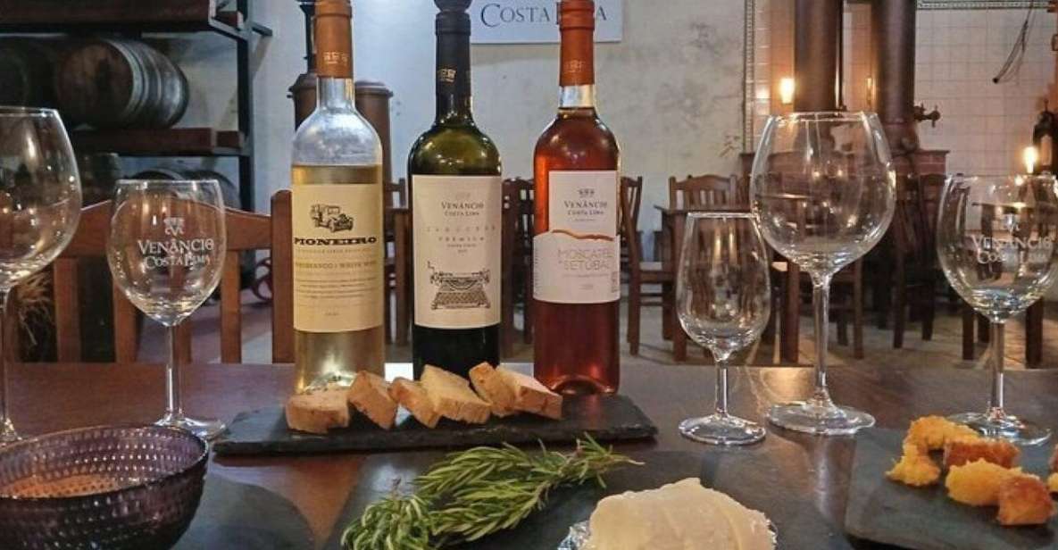 Wine Tour - Order of Santiago - Palmela - Palácio De Rio Frio