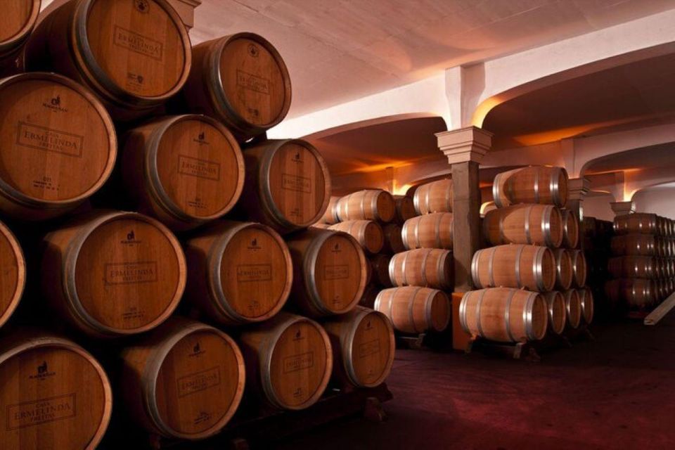 Wine Tour - Order of Santiago - Palmela - Tour Highlights