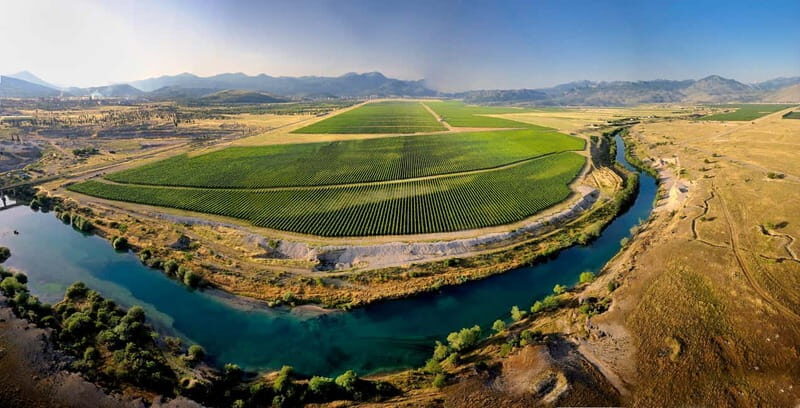 WINE TOUR: Recommended for hedonists! - Introduction