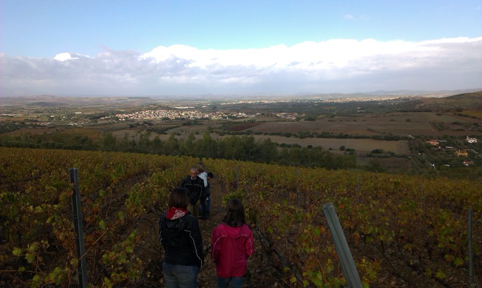 Wine Tour Sardinia - Picturesque Rural Landscapes
