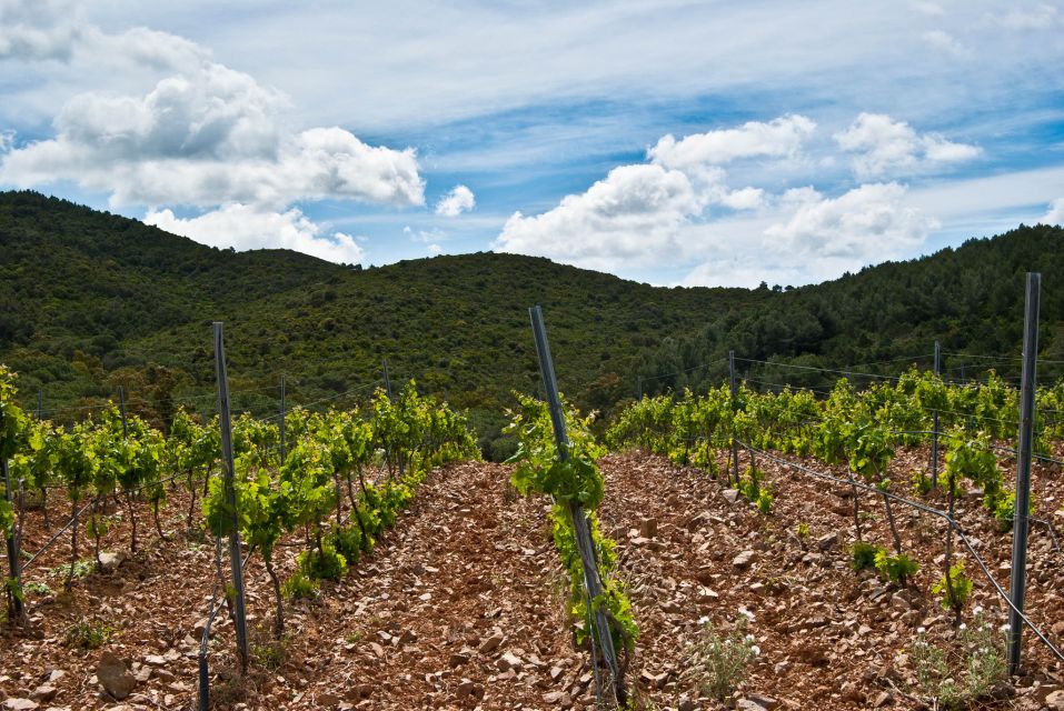 Wine Tour Sardinia - Sardinian Culture and History