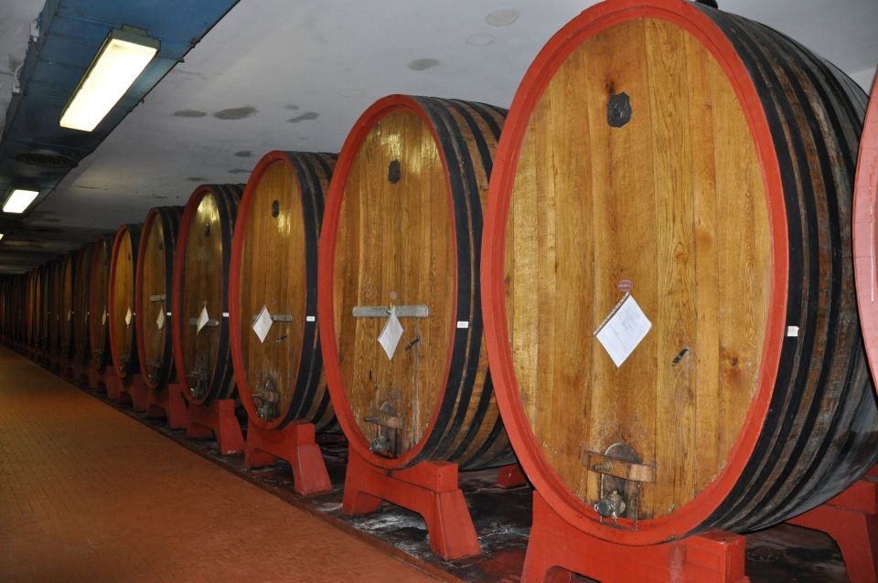 Wine Tour Sardinia - Transfer and Accessibility