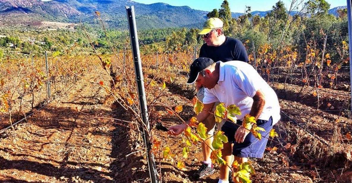 Wine Tour Sardinia - Restrictions and Considerations