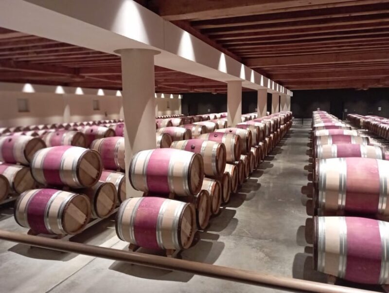 Wine Tour : the Beauty and Flavors of Bordeaux Vineyards. - Key Points