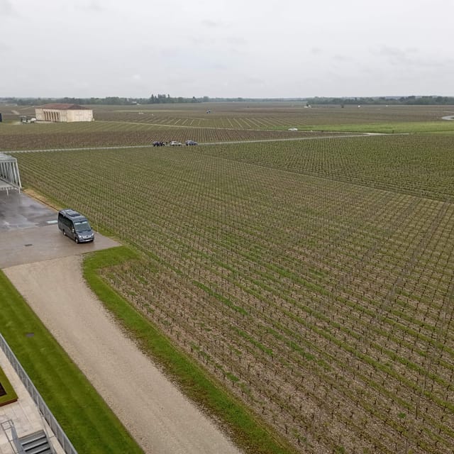 Wine Tour : the Beauty and Flavors of Bordeaux Vineyards. - Inclusions and Exclusions