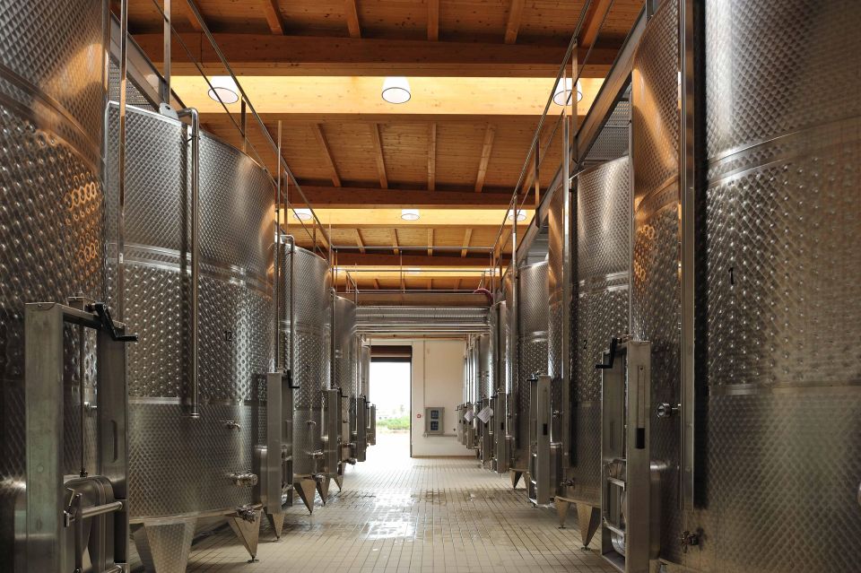 Wine Tour the Pearls of Manduria - Experience Highlights