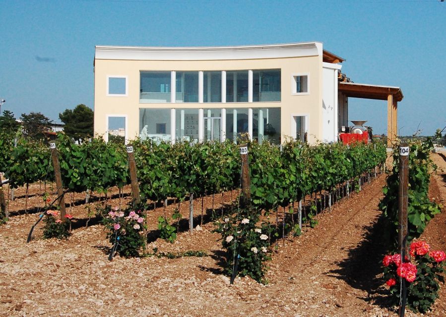 Wine Tour the Pearls of Manduria - Frequently Asked Questions