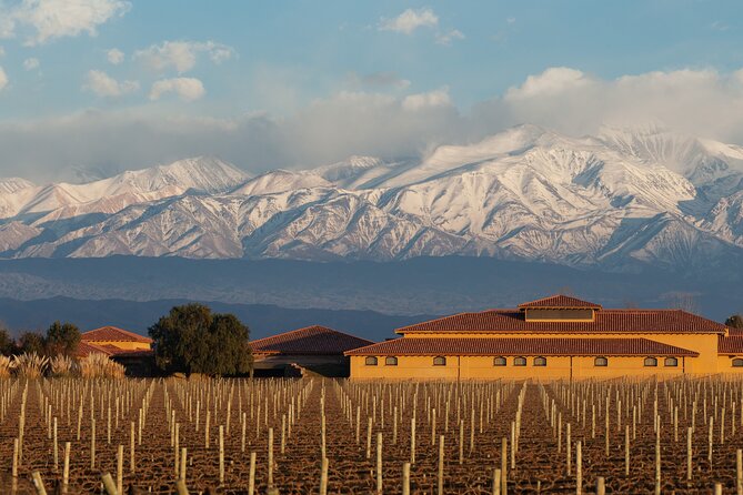 Wine Tour With Lunch and Transport in Mendoza - Vineyards and Wineries Visited
