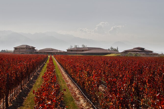 Wine Tour With Lunch and Transport in Mendoza - Lunch at Casa Bermellon
