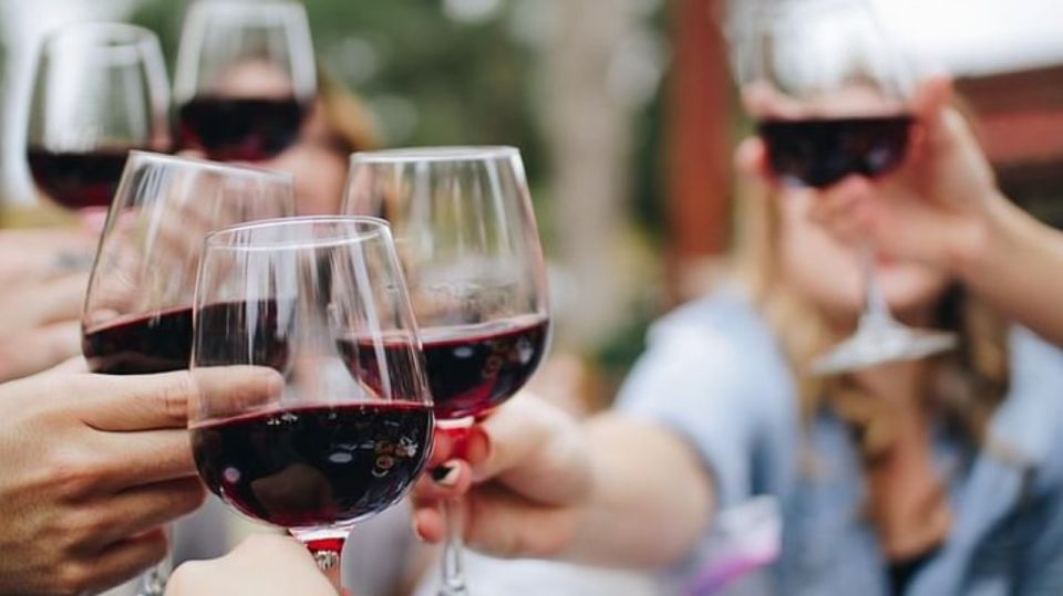 Wine Tour With Lunch Niagara on the Lake - Highlights of the Tour
