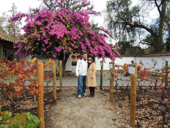 Wine Tour With Premium Tastings - About Your Stay