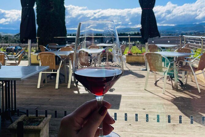 Wine Tour Yarra Valley Five Star Experience - The Sum Up: Who Should Consider This Tour?