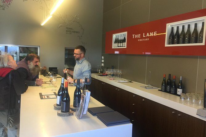 Wine Tours Adelaide - Authentic Insights from Past Travelers