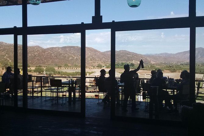 wine tours and driver service through valle de guadalupe, Ensenada B.C. Mexico - Final Thoughts