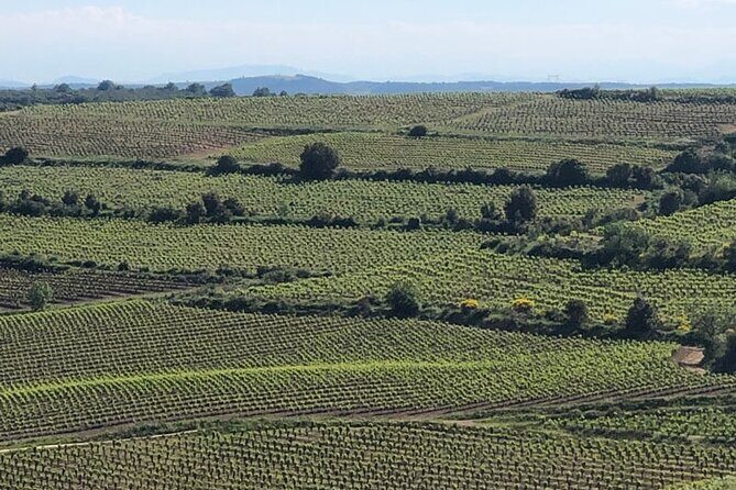 Wine Tours and Tastings from Béziers - What Travelers Love Most
