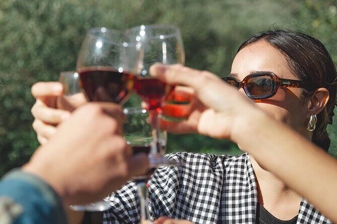 Wine Tours and Tastings from Béziers - Who Should Book This Tour?