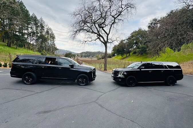 Wine Tours for 6 Hours and Private Transportation Services - Authentic Experiences & Review Insights