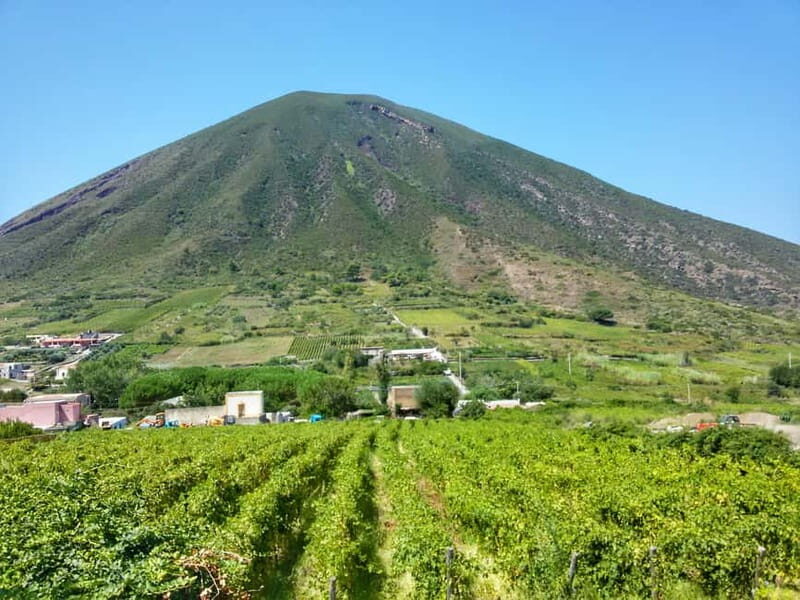 Wine Trekking in Salina: Walk and Tasting of Local Products - Key Points
