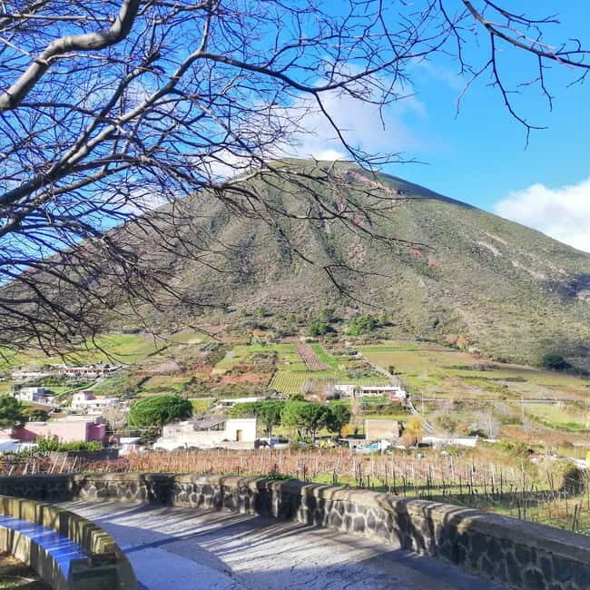 Wine Trekking in Salina: Walk and Tasting of Local Products - The Itinerary in Detail