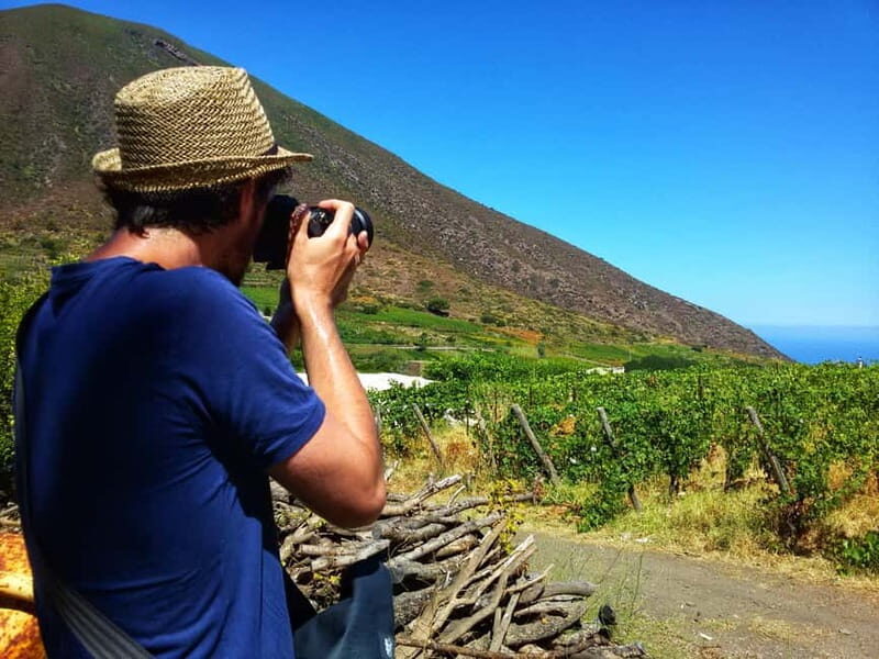 Wine Trekking in Salina: Walk and Tasting of Local Products - Who Will Love This Tour?