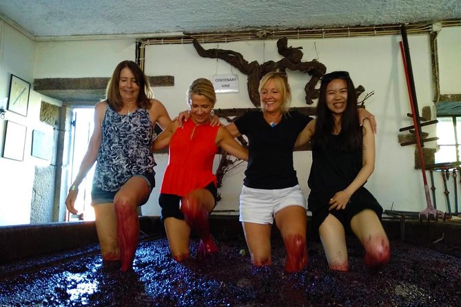 Wine Venture and Boat Trip in Douro Valley From Porto - Additional Information