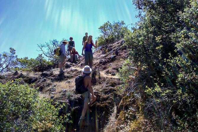 Wine & Wellness Tour in Napa Valley - Transportation and Logistics