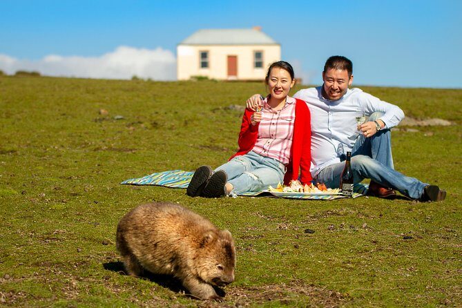 Wineglass Bay And Maria Island Wildlife Scenic Flight From Hobart - An Overview of What to Expect