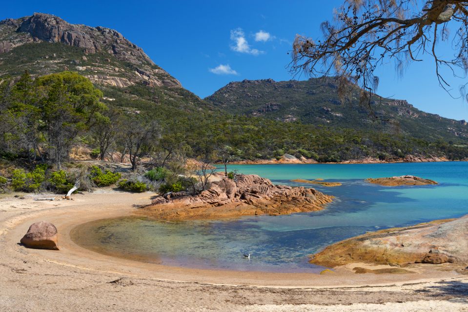 Wineglass Bay & Freycinet National Park Day Trip From Hobart - Experience Highlights