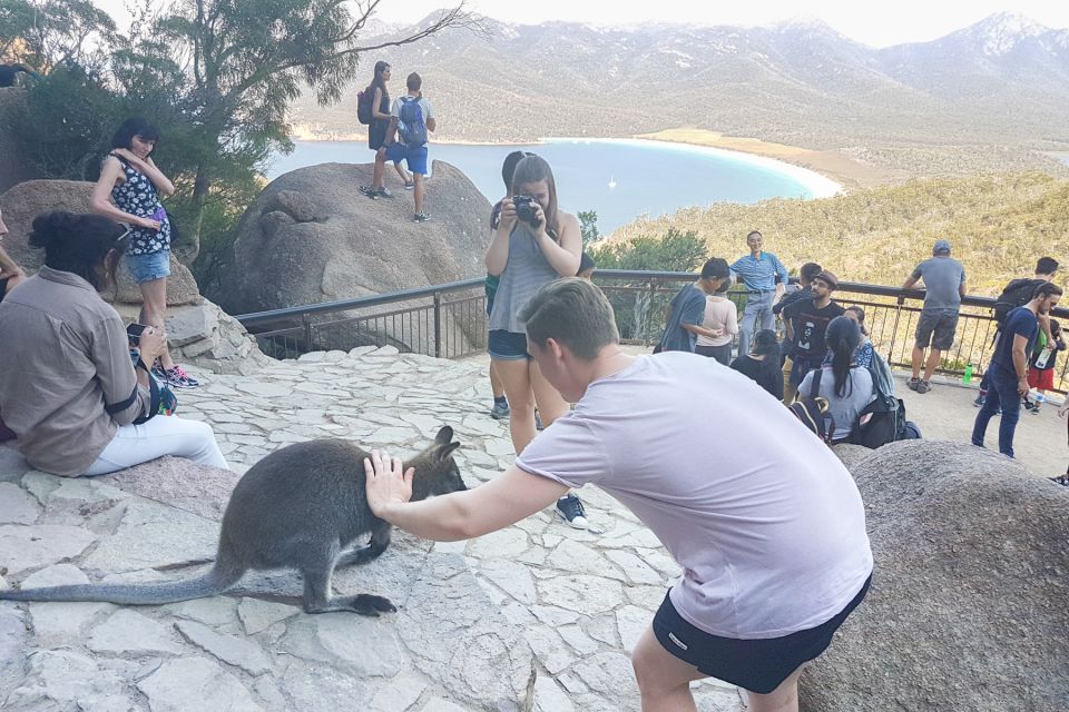 Wineglass Bay & Freycinet National Park Day Trip From Hobart - Directions