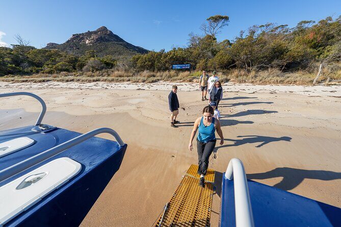 Wineglass Bay Shared Cruise and Walking Tour - In-Depth Look at the Experience