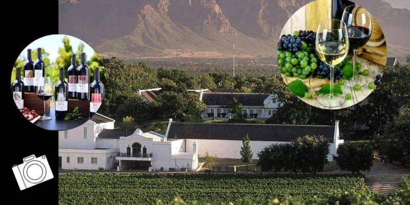 Winelands Full Day Tour - Good To Know