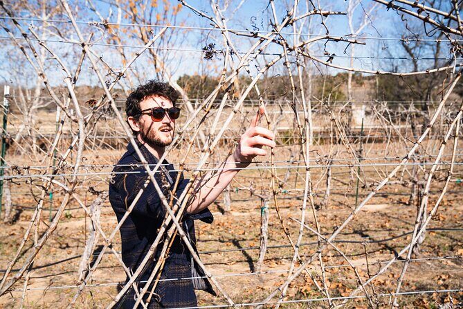 Winemaker Tour & Barrel Tasting - A Detailed Look at the Winemaker Tour & Barrel Tasting Near Austin