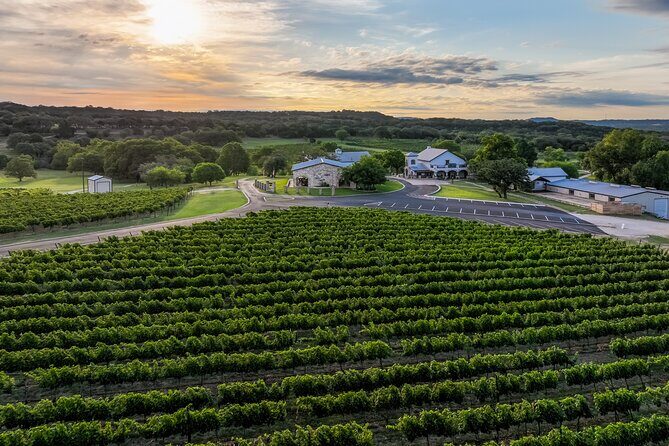 Winemaker Tour & Barrel Tasting - The Sum Up