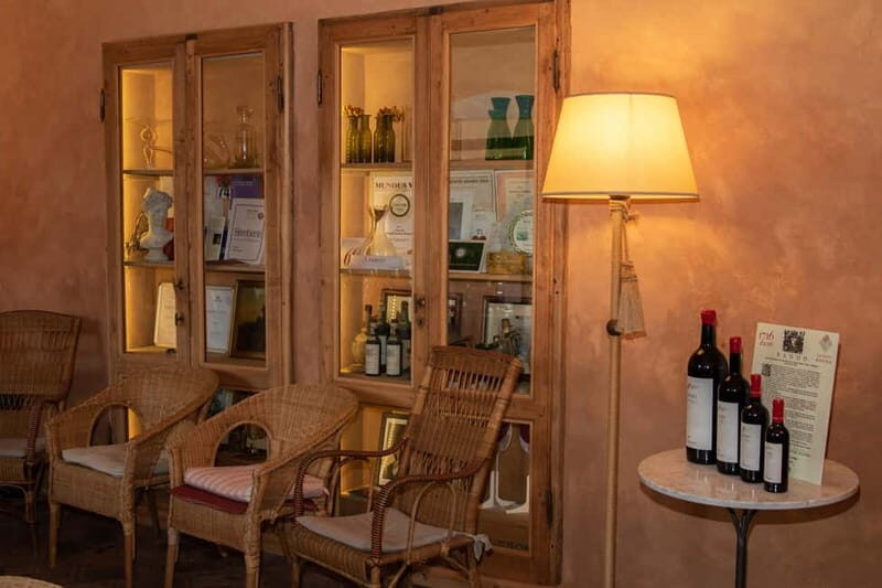 WINERY AND VINSANTAIA TOUR + TASTING + PLATTER - Why This Tour Works Well