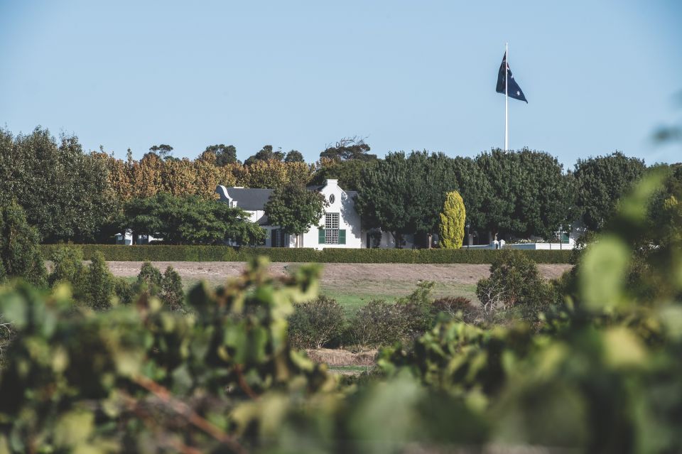 Winery Estate Tour & Wine-Paired Lunch - Tour Highlights