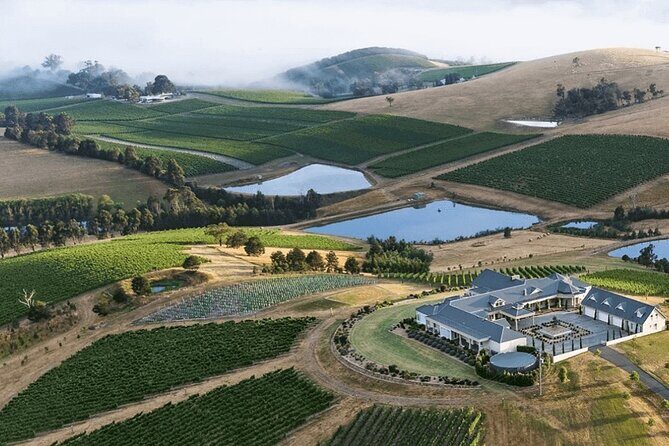 Winery Lunch by Helicopter to Levantine Hill in Yarra Valley - Key Points