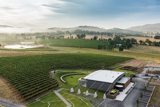 Winery Lunch by Helicopter to Levantine Hill in Yarra Valley - Practical Details and Considerations