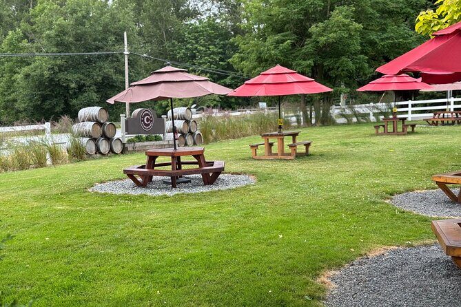 Winery Tasting at Boutique Vineyards - The Sum Up