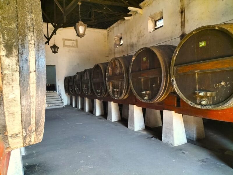 Winery, Tastings & 4WD Vineyards: Half-Day Trip from Lisbon - Scenic Vistas and Relaxed Pace
