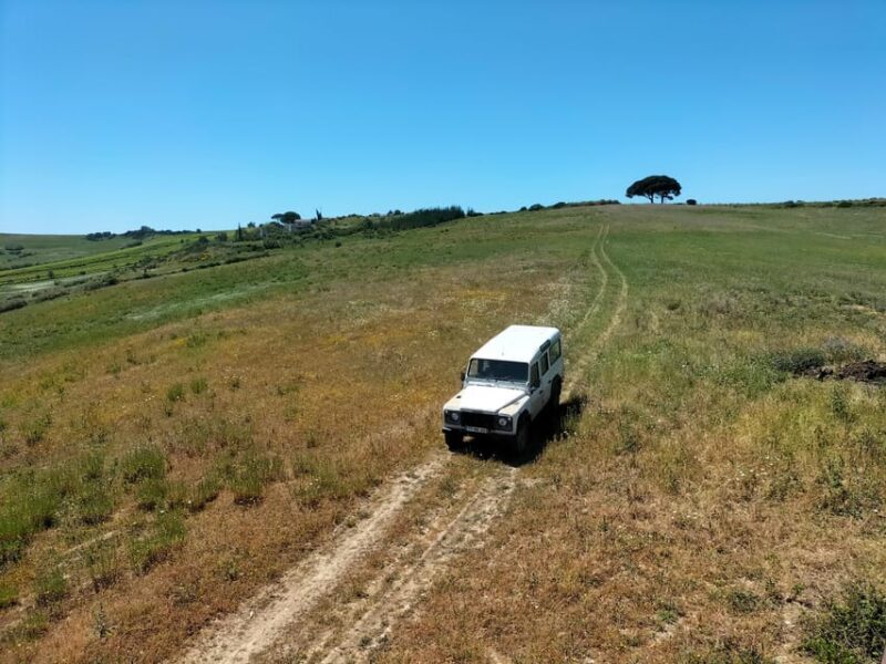 Winery, Tastings & 4WD Vineyards: Half-Day Trip from Lisbon - Practical Details and Value