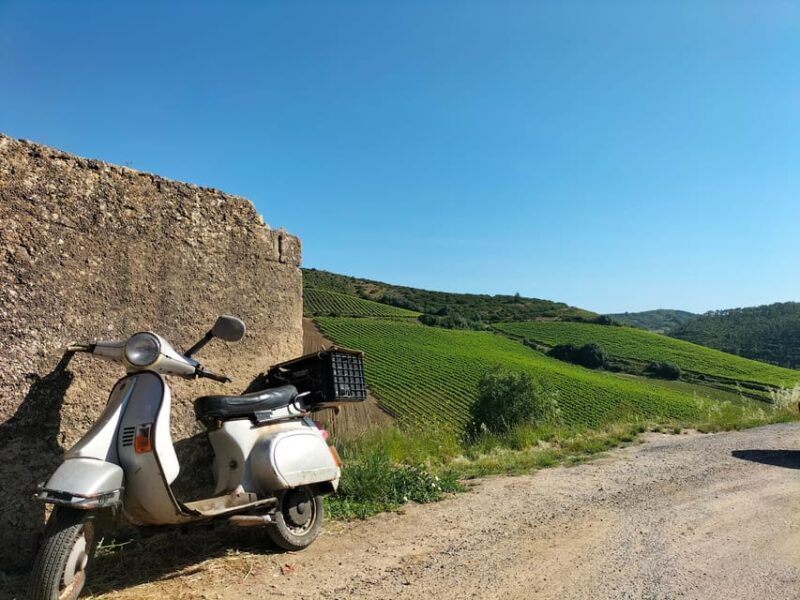 Winery, Tastings & 4WD Vineyards: Half-Day Trip from Lisbon - Who Will Love This Tour?