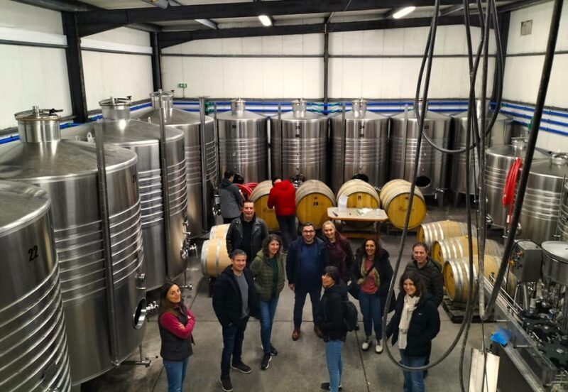 Winery, Tastings & 4WD Vineyards: Half-Day Trip from Lisbon - The Sum Up