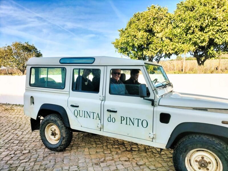 Winery, Tastings & 4WD Vineyards: Half-Day Trip from Lisbon - FAQ
