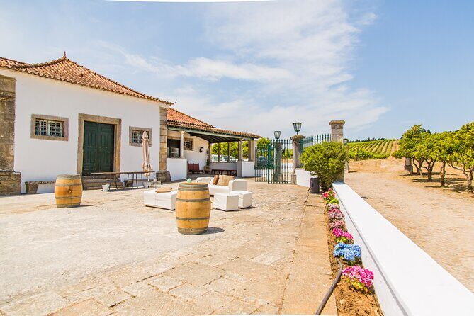 Winery, Tastings & 4WD Vineyards Ride, Half Day Trip from Lisbon - An Authentic Look at the Tour Experience