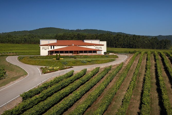 Winery Tour and Tasting at the Galician Estate - Inclusions