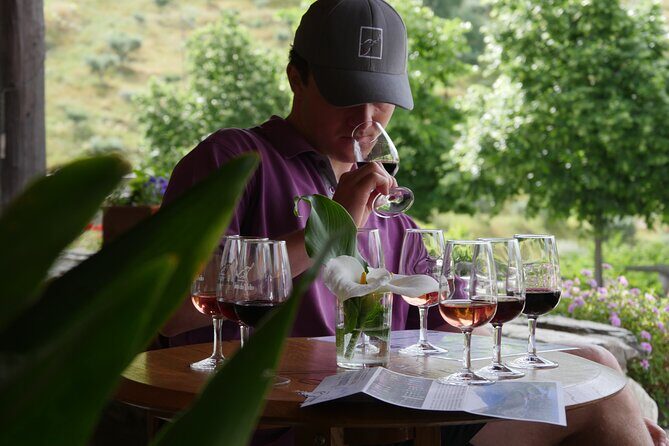Winery Tour and Tasting in Douro Valley - A Well-Structured Journey into Douro Wines