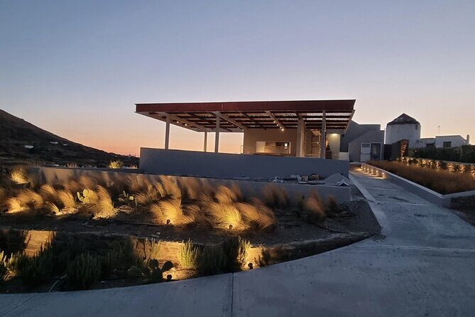 Winery Tour and Tasting in Tinos with the Winemaker - An Up-Close Look at the Wine Tour Experience in Tinos