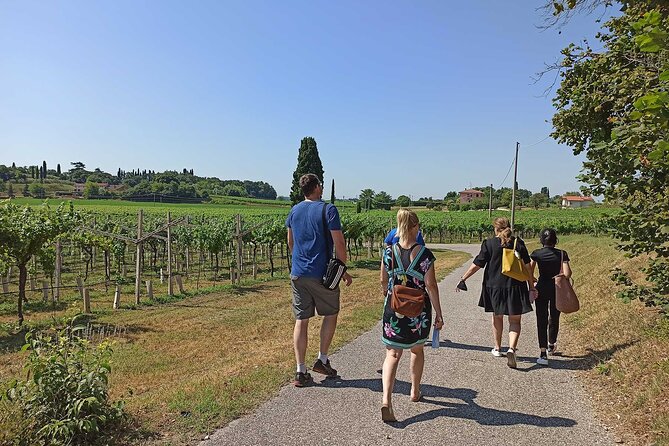 Winery Tour and Tasting of Garda Wines in Lazise - Highlights of the Tour and Tasting